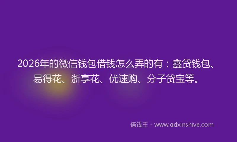 2026年的微信钱包借钱怎么弄的有：鑫贷钱包、易得花、浙享花、优速购、分子贷宝等。