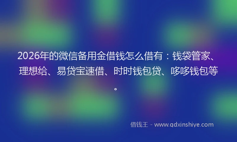 2026年的微信备用金借钱怎么借有：钱袋管家、理想给、易贷宝速借、时时钱包贷、哆哆钱包等。