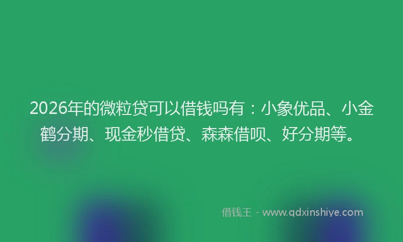 2026年的微粒贷可以借钱吗有：小象优品、小金鹤分期、现金秒借贷、森森借呗、好分期等。