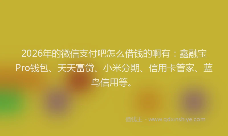 2026年的微信支付吧怎么借钱的啊有：鑫融宝Pro钱包、天天富贷、小米分期、信用卡管家、蓝鸟信用等。