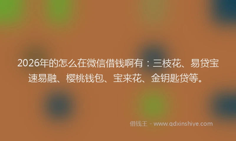 2026年的怎么在微信借钱啊有:三枝花、易贷宝速易融、樱桃钱包、宝来花、金钥匙贷等。