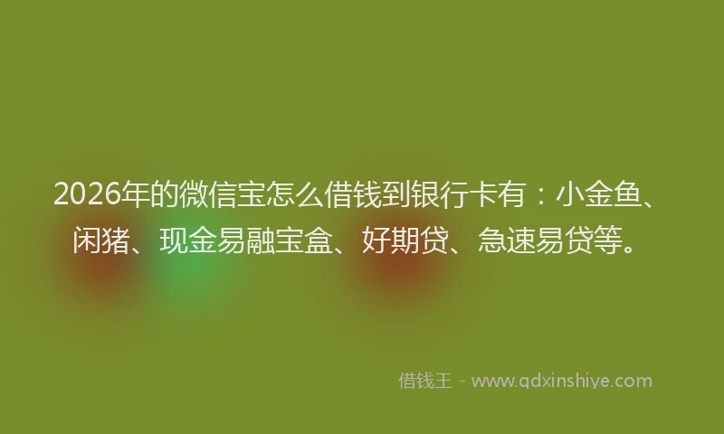 2026年的微信宝怎么借钱到银行卡有：小金鱼、闲猪、现金易融宝盒、好期贷、急速易贷等。