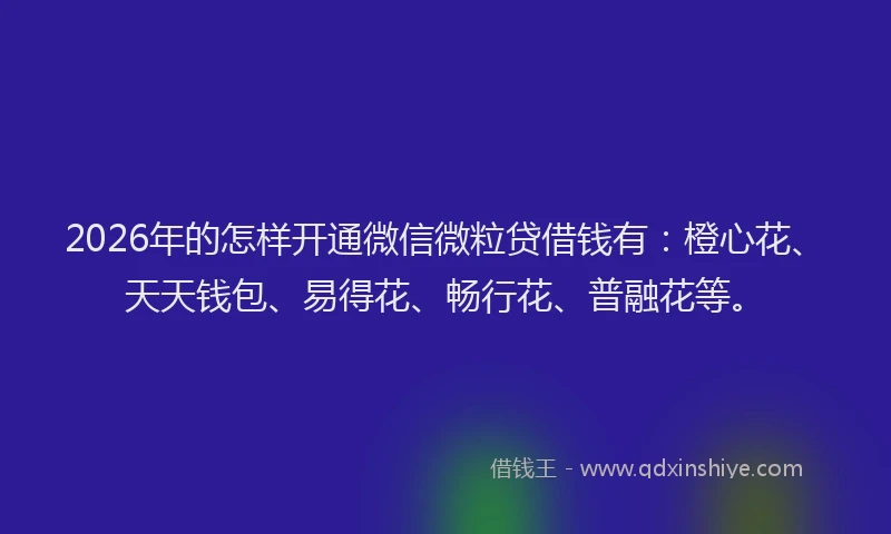 2026年的怎样开通微信微粒贷借钱有：橙心花、天天钱包、易得花、畅行花、普融花等。