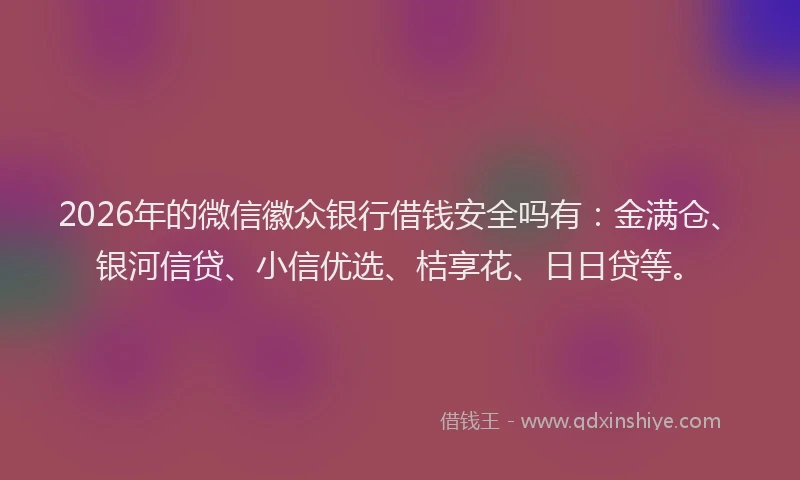 2026年的微信徽众银行借钱安全吗有：金满仓、银河信贷、小信优选、桔享花、日日贷等。