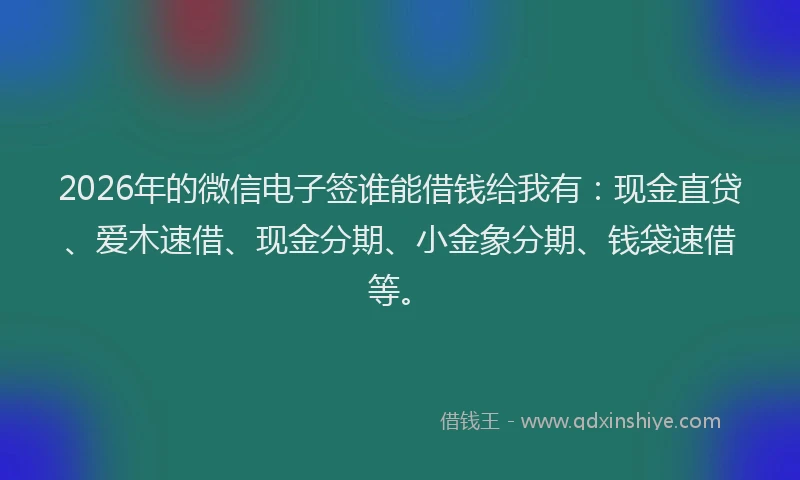 2026年的微信电子签谁能借钱给我有：现金直贷、爱木速借、现金分期、小金象分期、钱袋速借等。