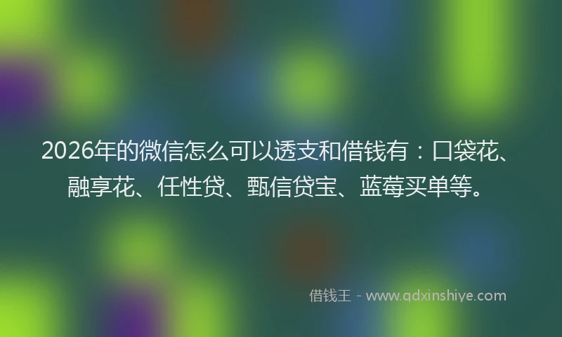 2026年的微信怎么可以透支和借钱有：口袋花、融享花、任性贷、甄信贷宝、蓝莓买单等。