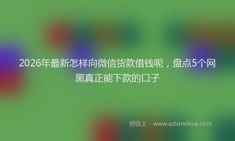 2026年最新怎样向微信货款借钱呢，盘点5个网黑真正能下款的口子