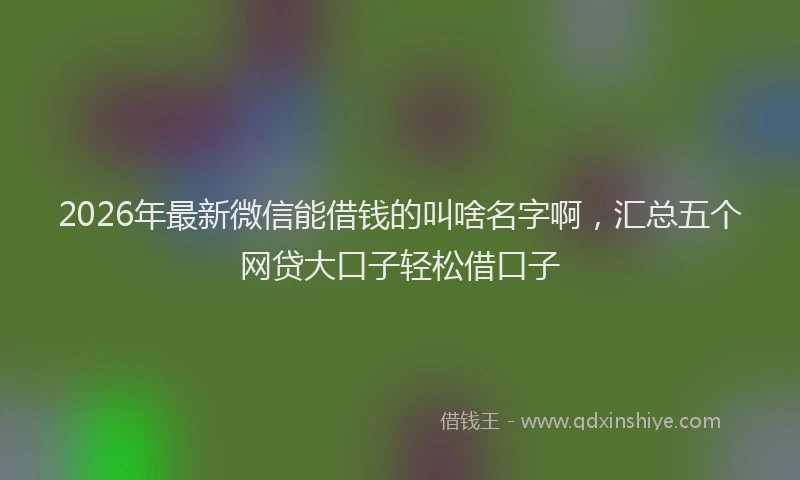2026年最新微信能借钱的叫啥名字啊，汇总五个网贷大口子轻松借口子