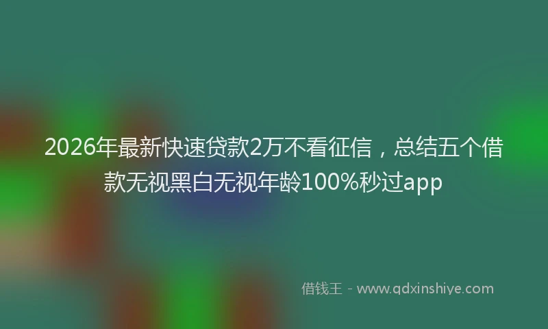 2026年最新快速贷款2万不看征信，总结五个借款无视黑白无视年龄100%秒过app