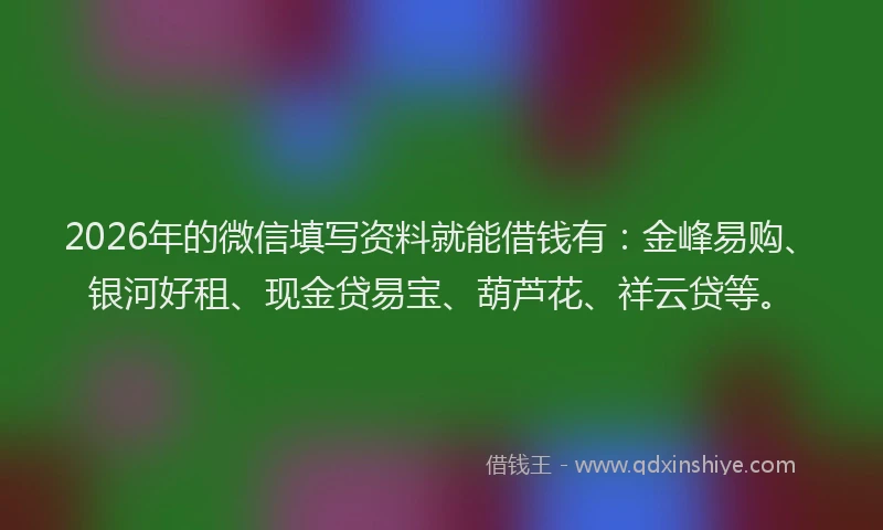 2026年的微信填写资料就能借钱有：金峰易购、银河好租、现金贷易宝、葫芦花、祥云贷等。