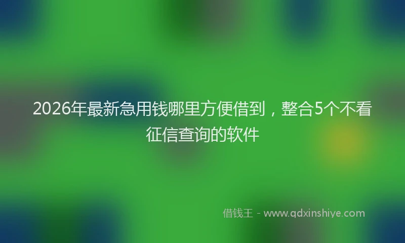 2026年最新急用钱哪里方便借到,整合5个不看征信查询的软件