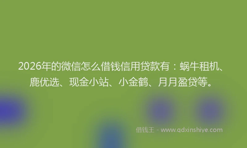 2026年的微信怎么借钱信用贷款有：蜗牛租机、鹿优选、现金小站、小金鹤、月月盈贷等。