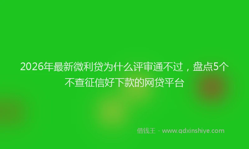 2026年最新微利贷为什么评审通不过，盘点5个不查征信好下款的网贷平台
