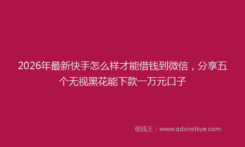 2026年最新快手怎么样才能借钱到微信，分享五个无视黑花能下款一万元口子