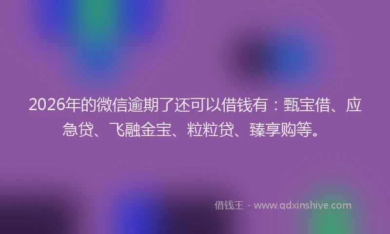 2026年的微信逾期了还可以借钱有：甄宝借、应急贷、飞融金宝、粒粒贷、臻享购等。