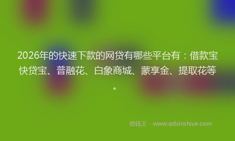 2026年的快速下款的网贷有哪些平台有：借款宝快贷宝、普融花、白象商城、蒙享金、提取花等。