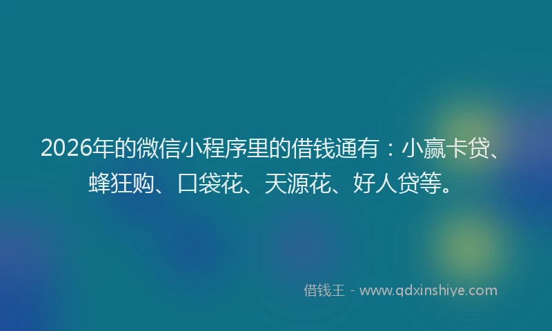 2026年的微信小程序里的借钱通有：小赢卡贷、蜂狂购、口袋花、天源花、好人贷等。
