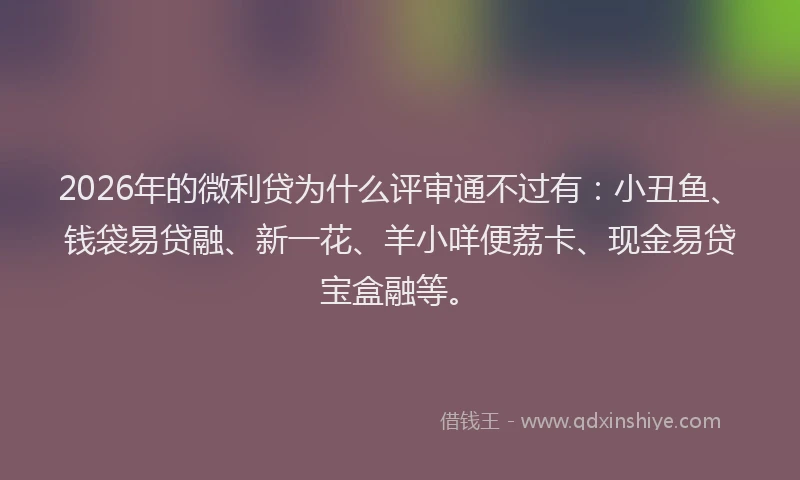 2026年的微利贷为什么评审通不过有：小丑鱼、钱袋易贷融、新一花、羊小咩便荔卡、现金易贷宝盒融等。