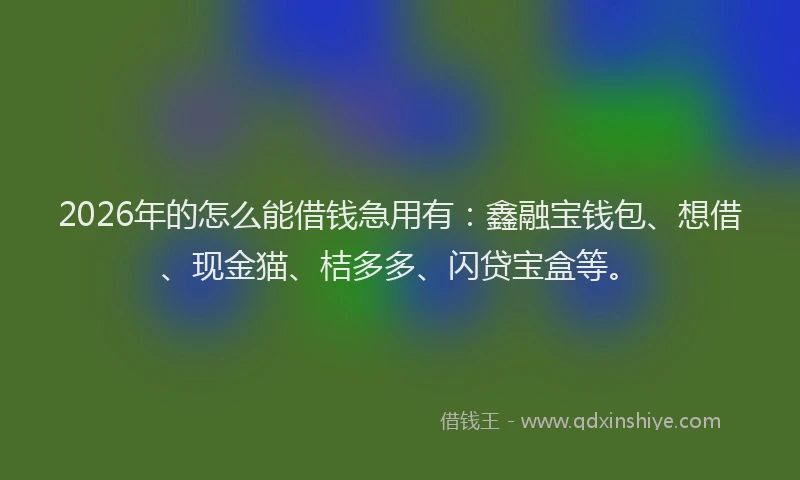2026年的怎么能借钱急用有:鑫融宝钱包、想借、现金猫、桔多多、闪贷宝盒等。