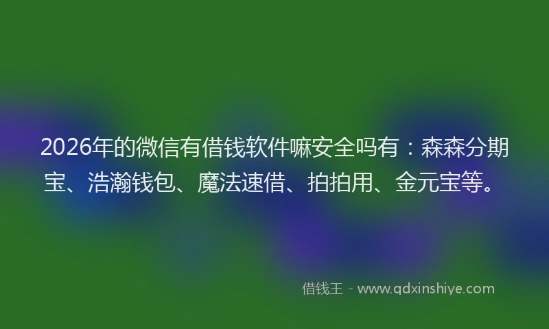 2026年的微信有借钱软件嘛安全吗有：森森分期宝、浩瀚钱包、魔法速借、拍拍用、金元宝等。