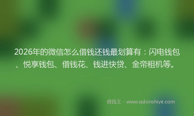2026年的微信怎么借钱还钱最划算有：闪电钱包、悦享钱包、借钱花、钱进快贷、金帝租机等。