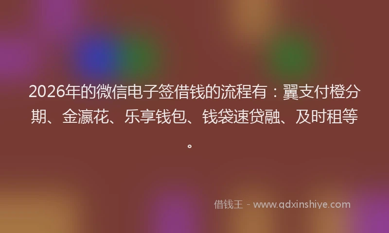 2026年的微信电子签借钱的流程有：翼支付橙分期、金瀛花、乐享钱包、钱袋速贷融、及时租等。