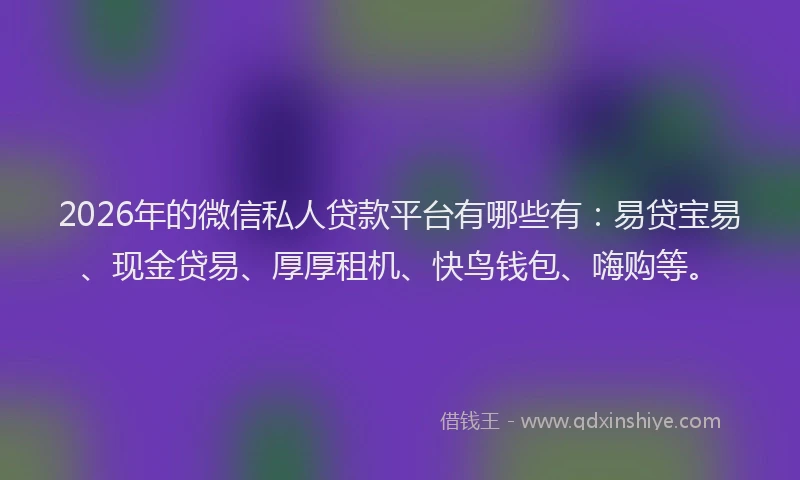 2026年的微信私人贷款平台有哪些有：易贷宝易、现金贷易、厚厚租机、快鸟钱包、嗨购等。