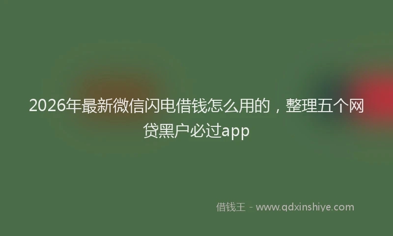 2026年最新微信闪电借钱怎么用的，整理五个网贷黑户必过app