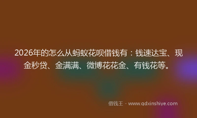 2026年的怎么从蚂蚁花呗借钱有：钱速达宝、现金秒贷、金满满、微博花花金、有钱花等。