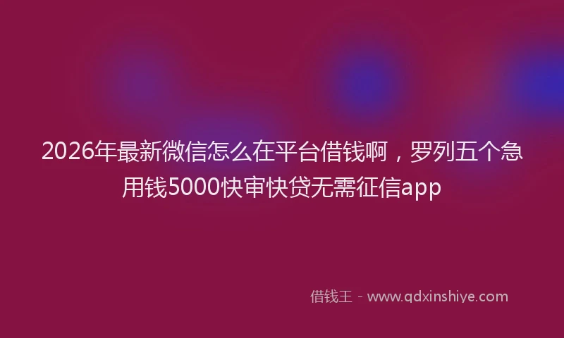 2026年最新微信怎么在平台借钱啊，罗列五个急用钱5000快审快贷无需征信app