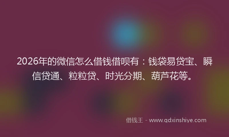 2026年的微信怎么借钱借呗有：钱袋易贷宝、瞬信贷通、粒粒贷、时光分期、葫芦花等。