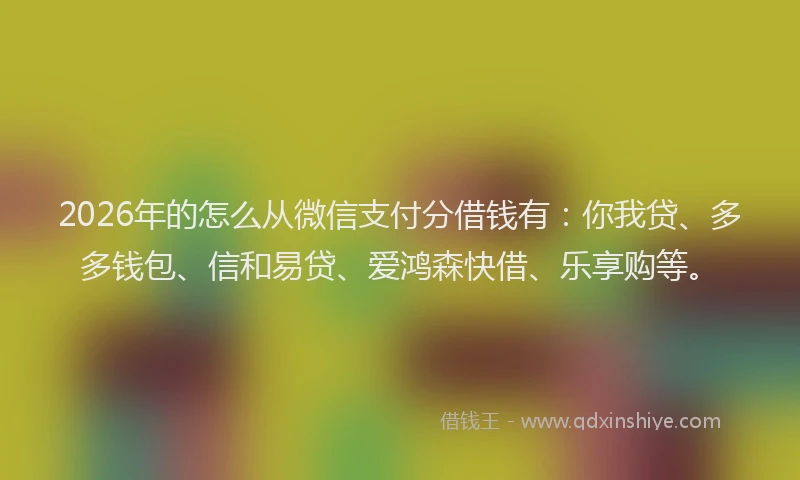 2026年的怎么从微信支付分借钱有：你我贷、多多钱包、信和易贷、爱鸿森快借、乐享购等。