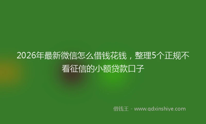 2026年最新微信怎么借钱花钱，整理5个正规不看征信的小额贷款口子
