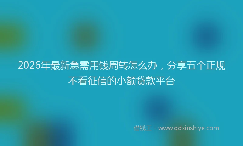2026年最新急需用钱周转怎么办，分享五个正规不看征信的小额贷款平台