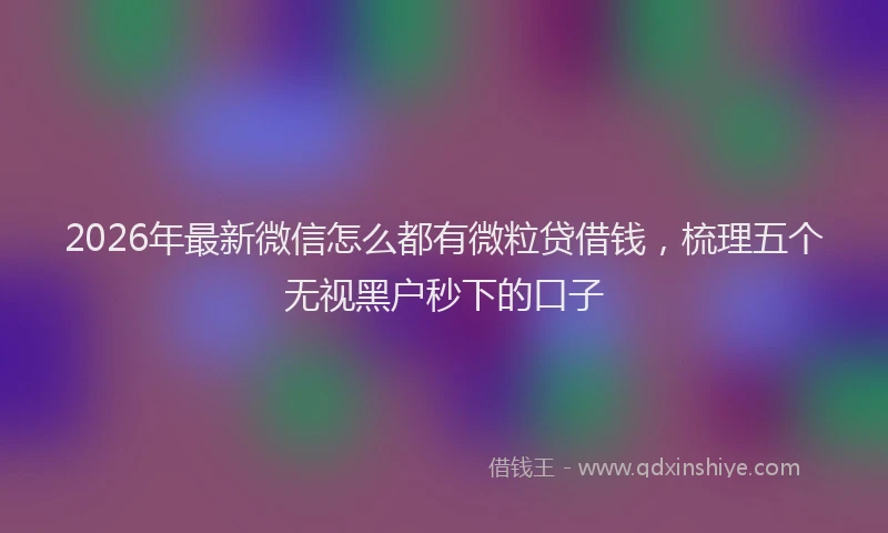 2026年最新微信怎么都有微粒贷借钱，梳理五个无视黑户秒下的口子