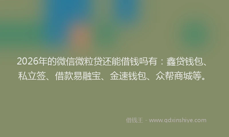 2026年的微信微粒贷还能借钱吗有：鑫贷钱包、私立签、借款易融宝、金速钱包、众帮商城等。