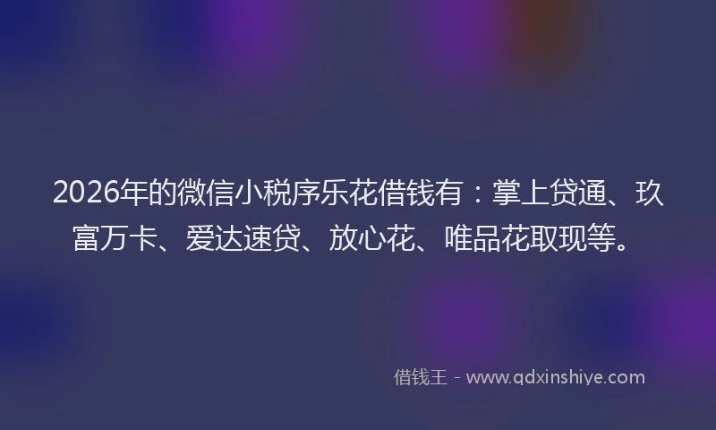2026年的微信小税序乐花借钱有：掌上贷通、玖富万卡、爱达速贷、放心花、唯品花取现等。