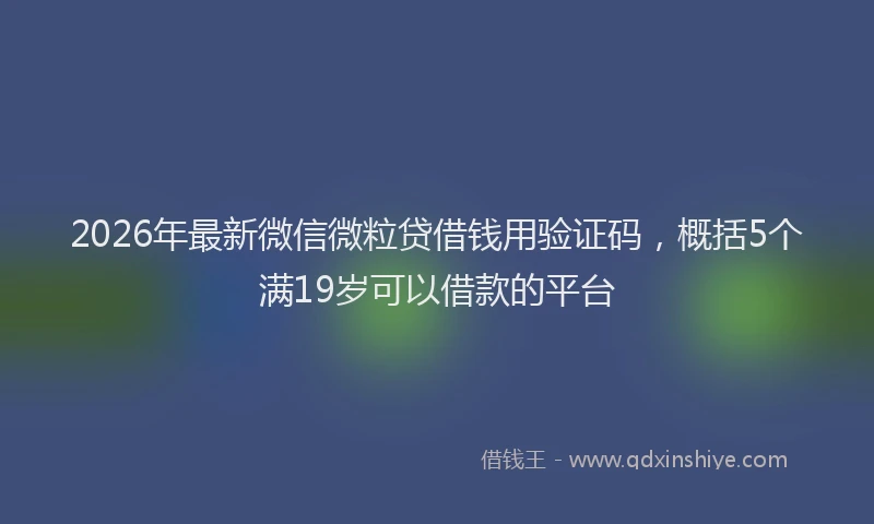 2026年最新微信微粒贷借钱用验证码，概括5个满19岁可以借款的平台