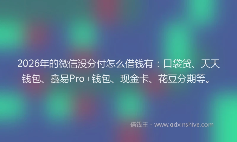 2026年的微信没分付怎么借钱有：口袋贷、天天钱包、鑫易Pro+钱包、现金卡、花豆分期等。