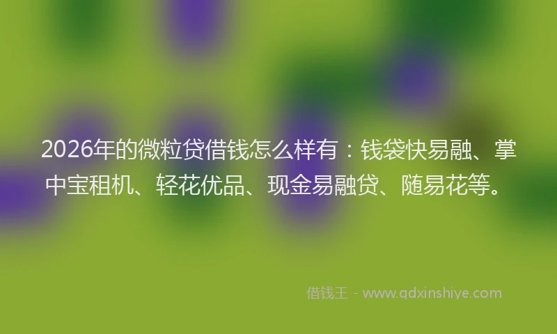 2026年的微粒贷借钱怎么样有：钱袋快易融、掌中宝租机、轻花优品、现金易融贷、随易花等。
