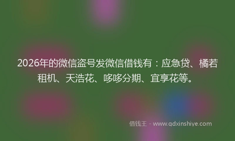 2026年的微信盗号发微信借钱有：应急贷、橘若租机、天浩花、哆哆分期、宜享花等。