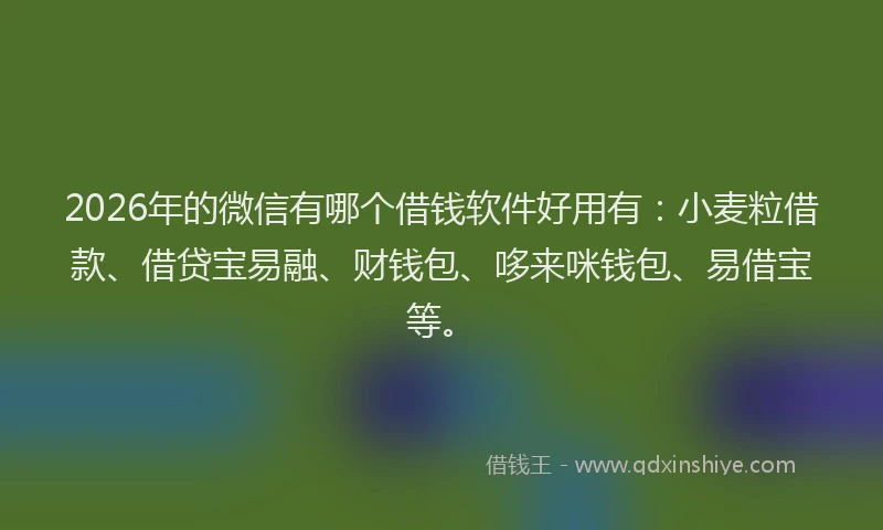 2026年的微信有哪个借钱软件好用有：小麦粒借款、借贷宝易融、财钱包、哆来咪钱包、易借宝等。