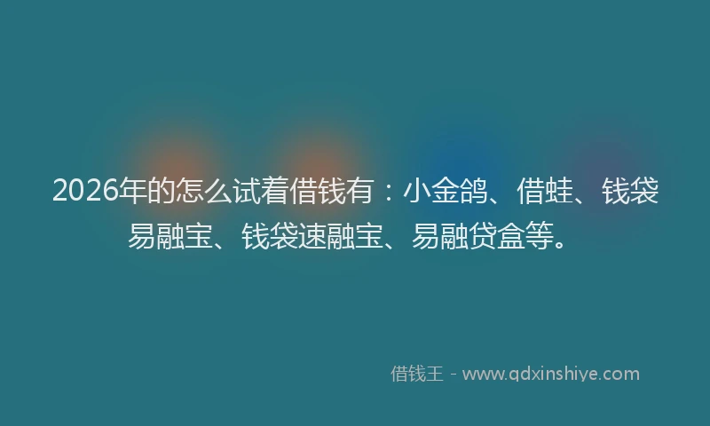 2026年的怎么试着借钱有：小金鸽、借蛙、钱袋易融宝、钱袋速融宝、易融贷盒等。