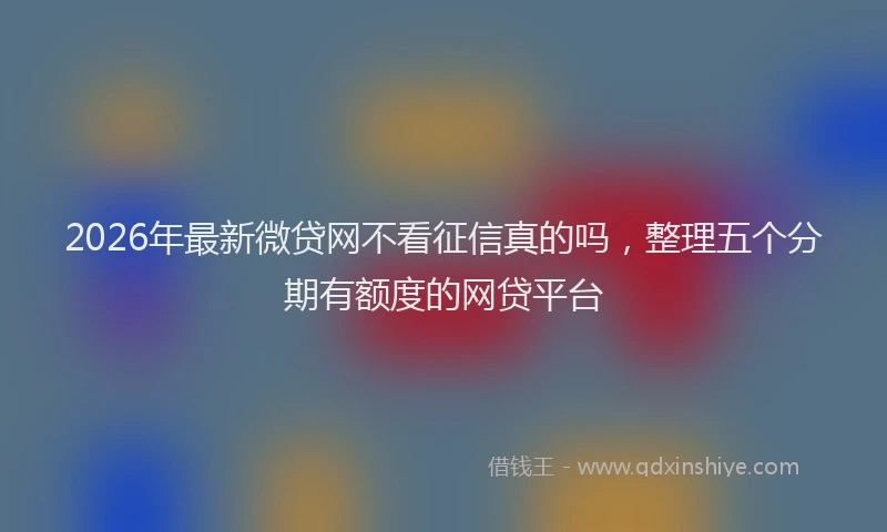 2026年最新微贷网不看征信真的吗，整理五个分期有额度的网贷平台