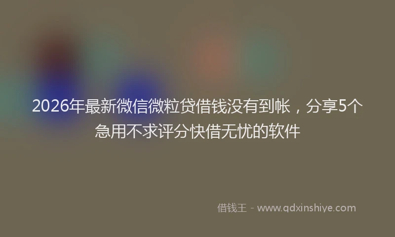 2026年最新微信微粒贷借钱没有到帐，分享5个急用不求评分快借无忧的软件