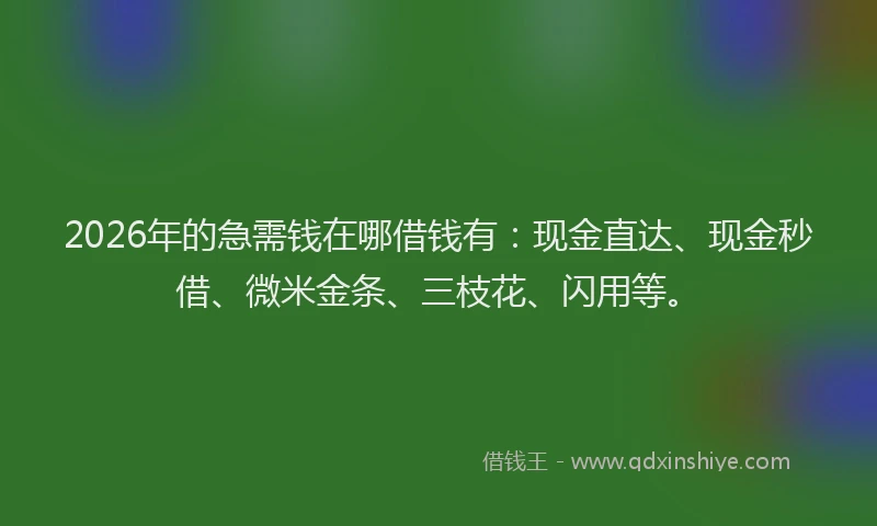 2026年的急需钱在哪借钱有：现金直达、现金秒借、微米金条、三枝花、闪用等。