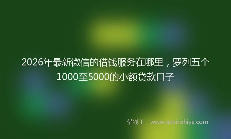 2026年最新微信的借钱服务在哪里，罗列五个1000至5000的小额贷款口子