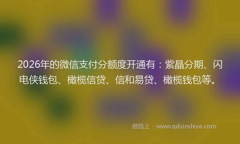 2026年的微信支付分额度开通有：紫晶分期、闪电侠钱包、橄榄信贷、信和易贷、橄榄钱包等。