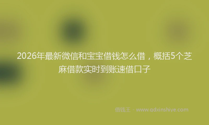 2026年最新微信和宝宝借钱怎么借，概括5个芝麻借款实时到账速借口子