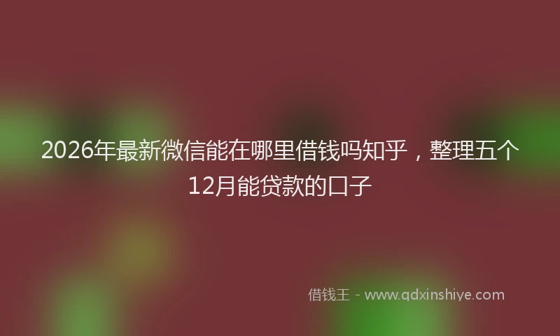 2026年最新微信能在哪里借钱吗知乎，整理五个12月能贷款的口子